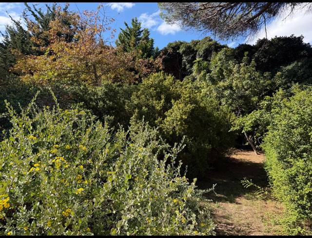 546M² VACANT LAND FOR SALE IN CONSTANTIA